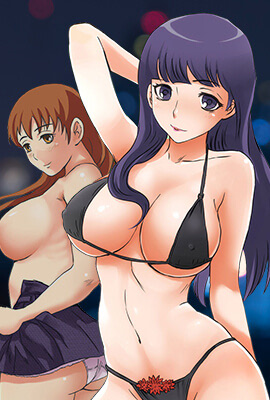 钢之炼金术师 封面